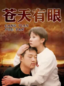 苍天有眼电视剧海报