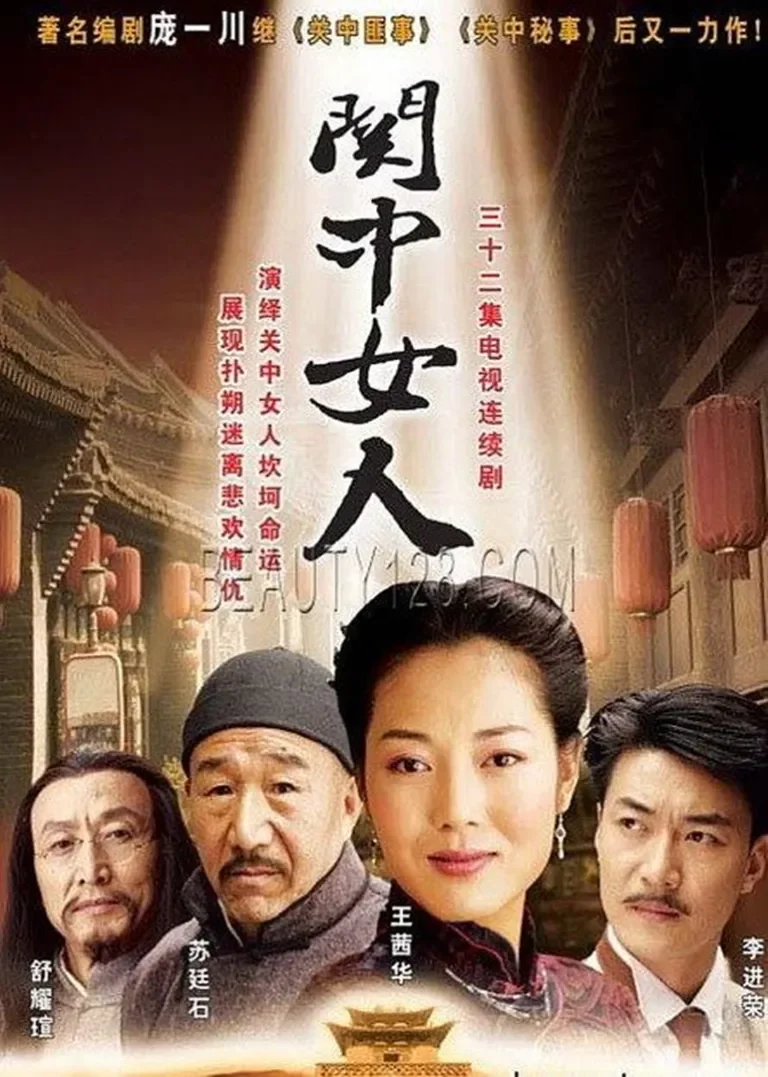 关中女人电视剧海报