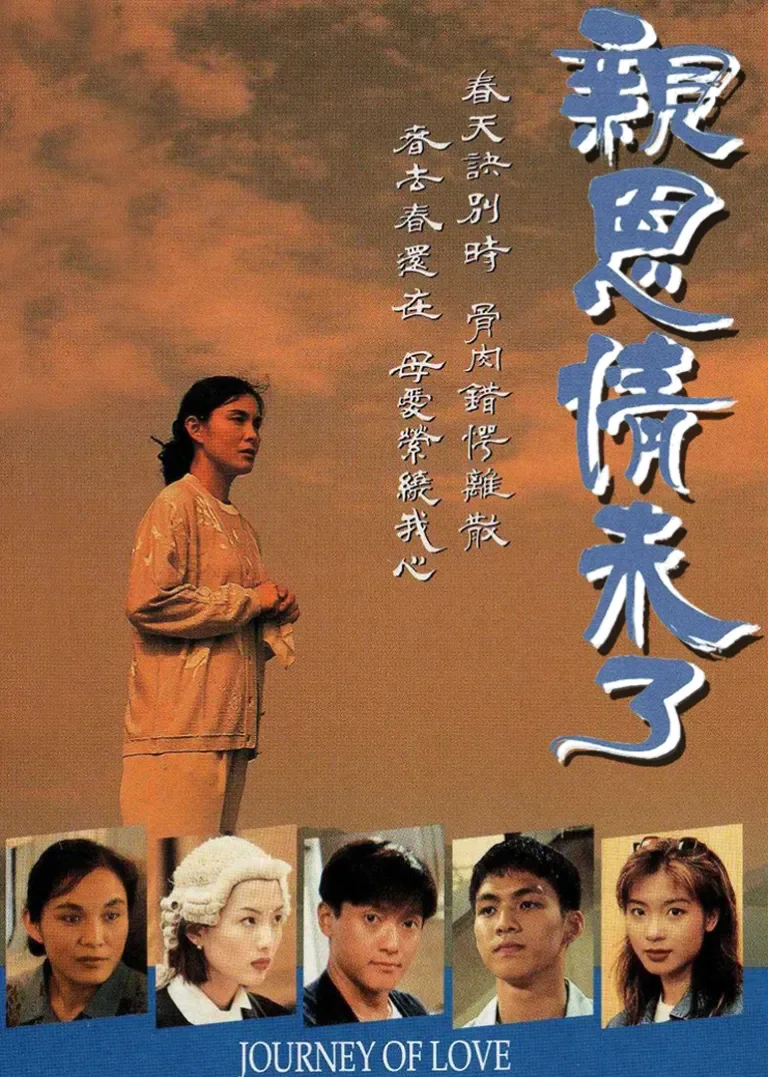 亲恩情未了电视剧海报