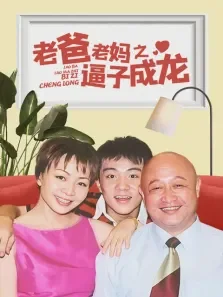 老爸老妈之逼子成龙电视剧海报