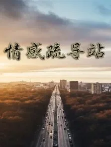 情感疏导站电视剧海报