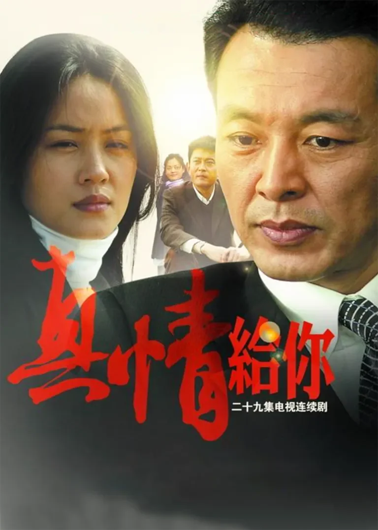 真情给你电视剧海报