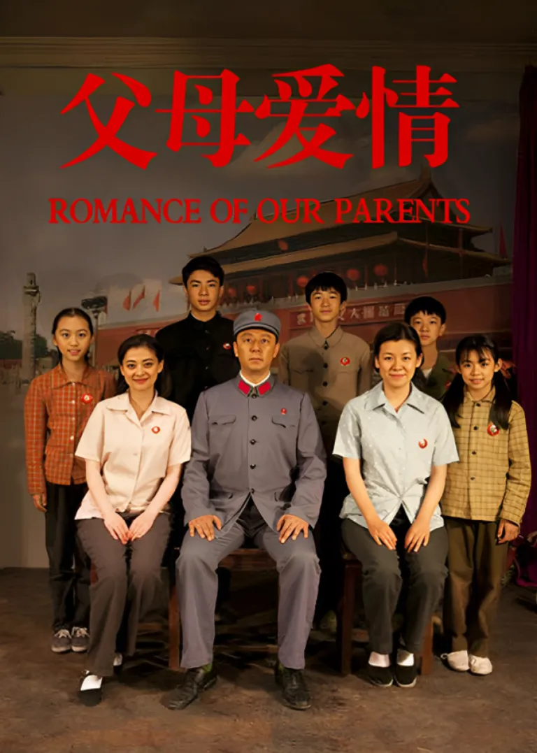 父母爱情电视剧海报
