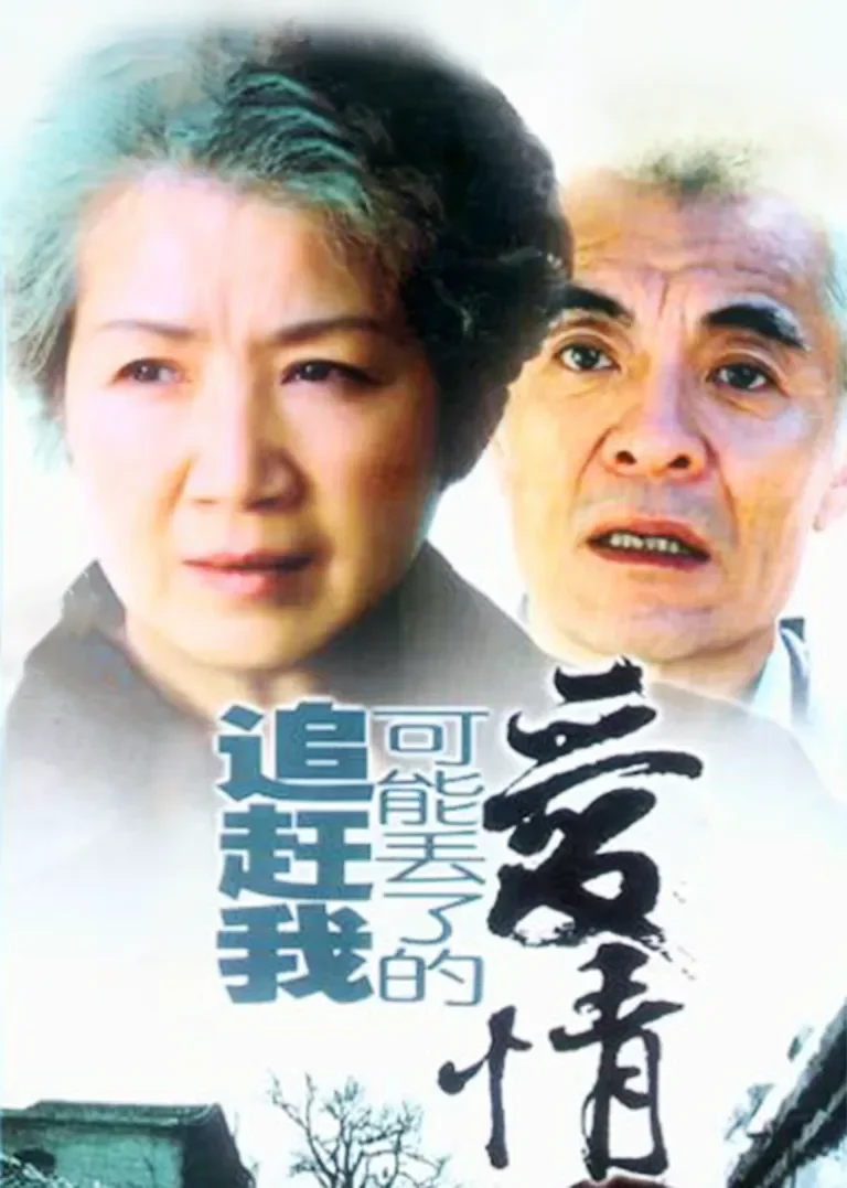 追赶我可能丢了的爱情电视剧海报