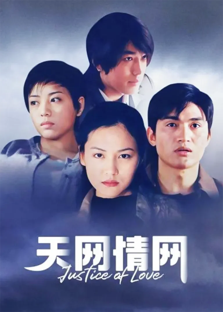 天网情网电视剧海报