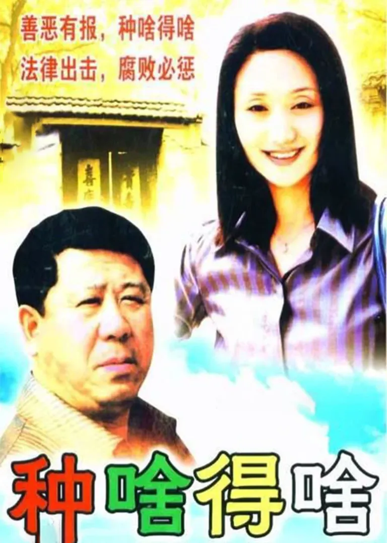 种啥得啥电视剧海报