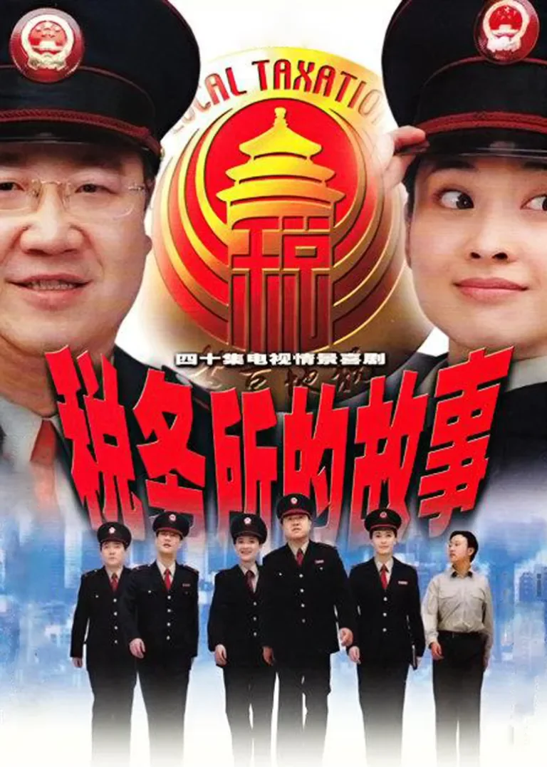 税务所的故事电视剧海报