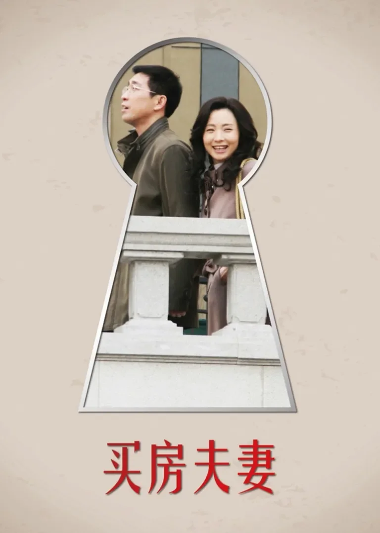 买房夫妻电视剧海报
