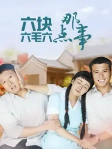 六块六毛六的那点事电视剧海报