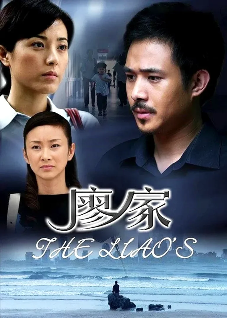 廖家电视剧海报