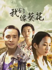 我们像葵花电视剧海报