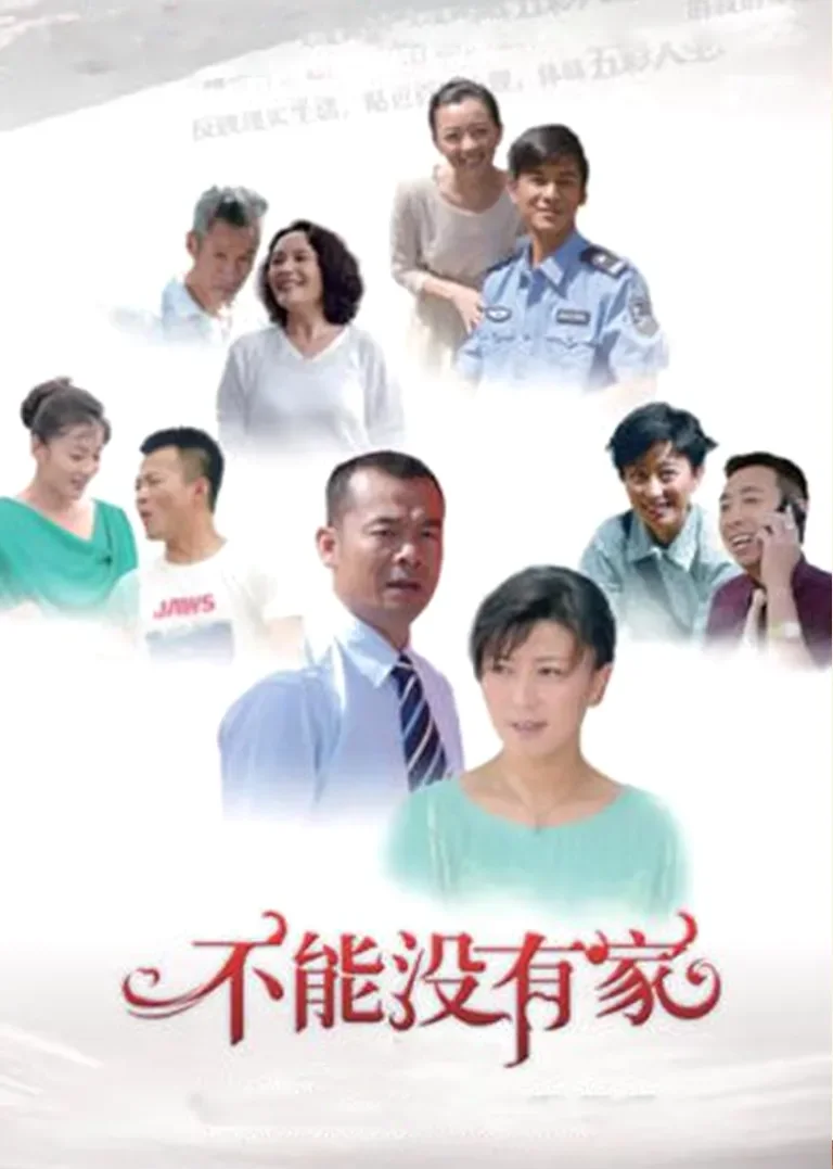 不能没有家电视剧海报