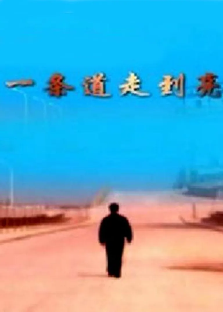 一条道走到亮电视剧海报