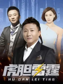 虎胆雷霆（内地刑侦剧房斌杨雨婷）电视剧海报