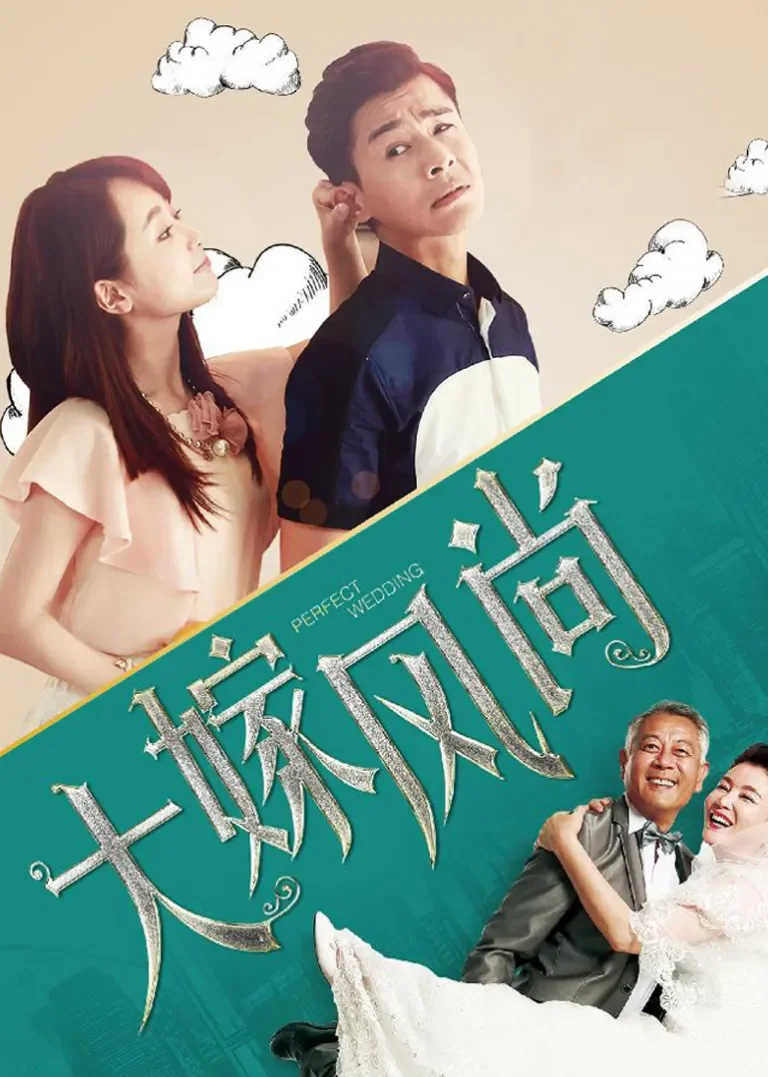 大嫁风尚电视剧海报