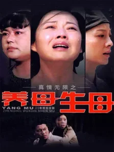 真情无限之养母生母电视剧海报