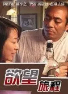 欲望旅程电视剧海报