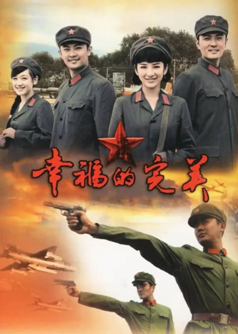 幸福的完美电视剧海报
