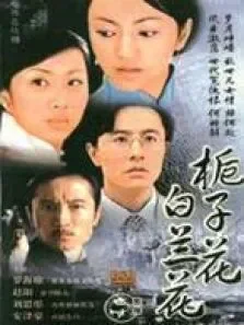 栀子花白兰花电视剧海报