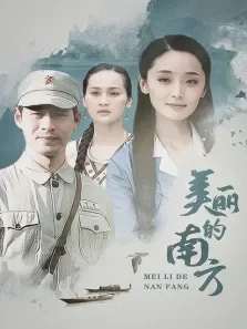 美丽的南方电视剧海报