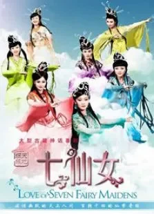 天地姻缘七仙女电视剧海报