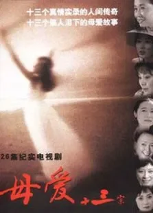 母爱电视剧海报