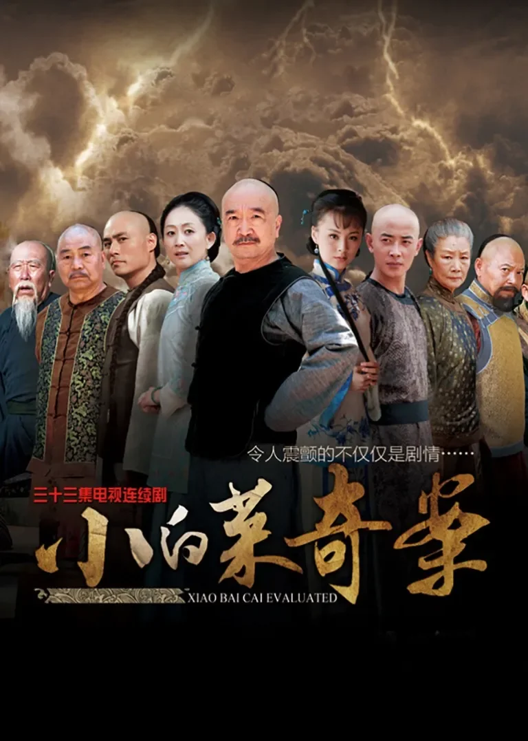 小白菜奇案电视剧海报
