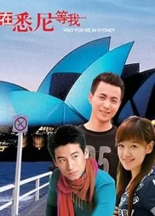 在悉尼等我电视剧海报