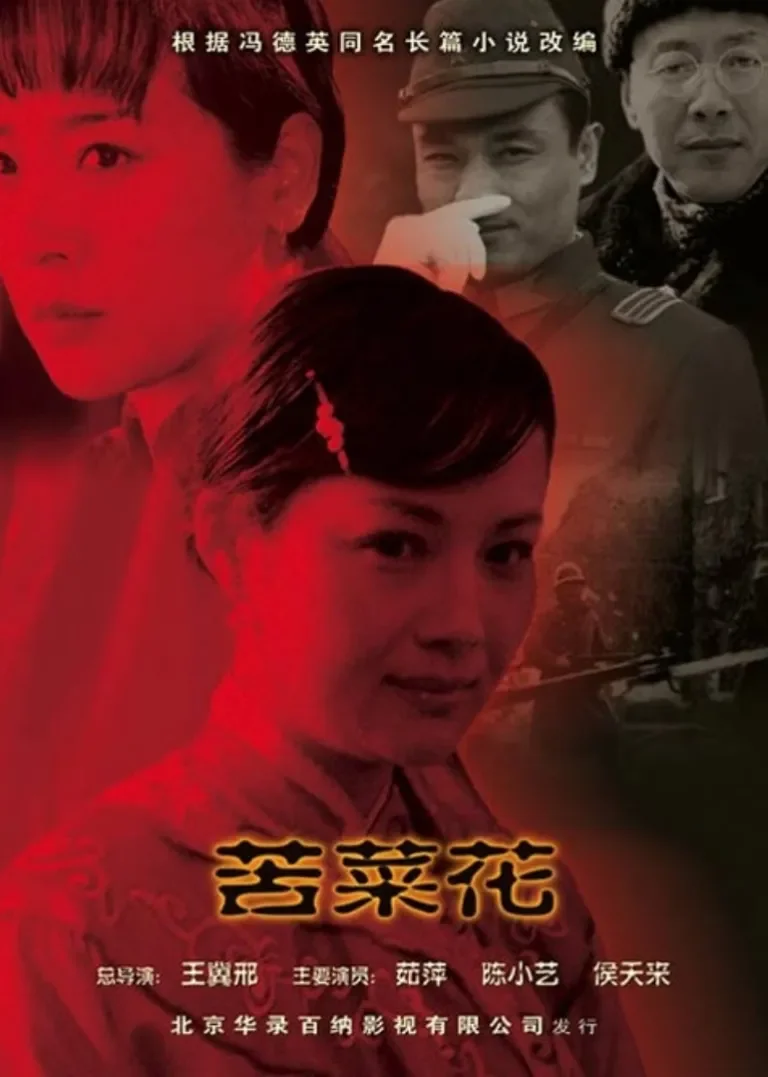 苦菜花电视剧海报