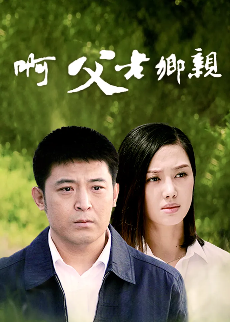 啊，父老乡亲电视剧海报