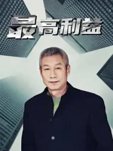 最高利益电视剧海报