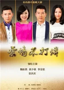 爱情不打烊电视剧海报