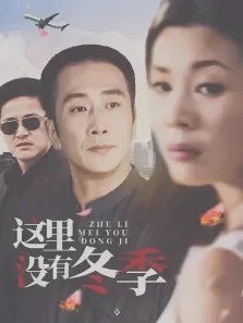 这里没有冬季电视剧海报