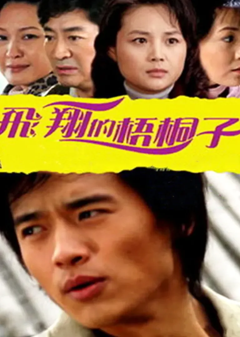 飞翔的梧桐子电视剧海报