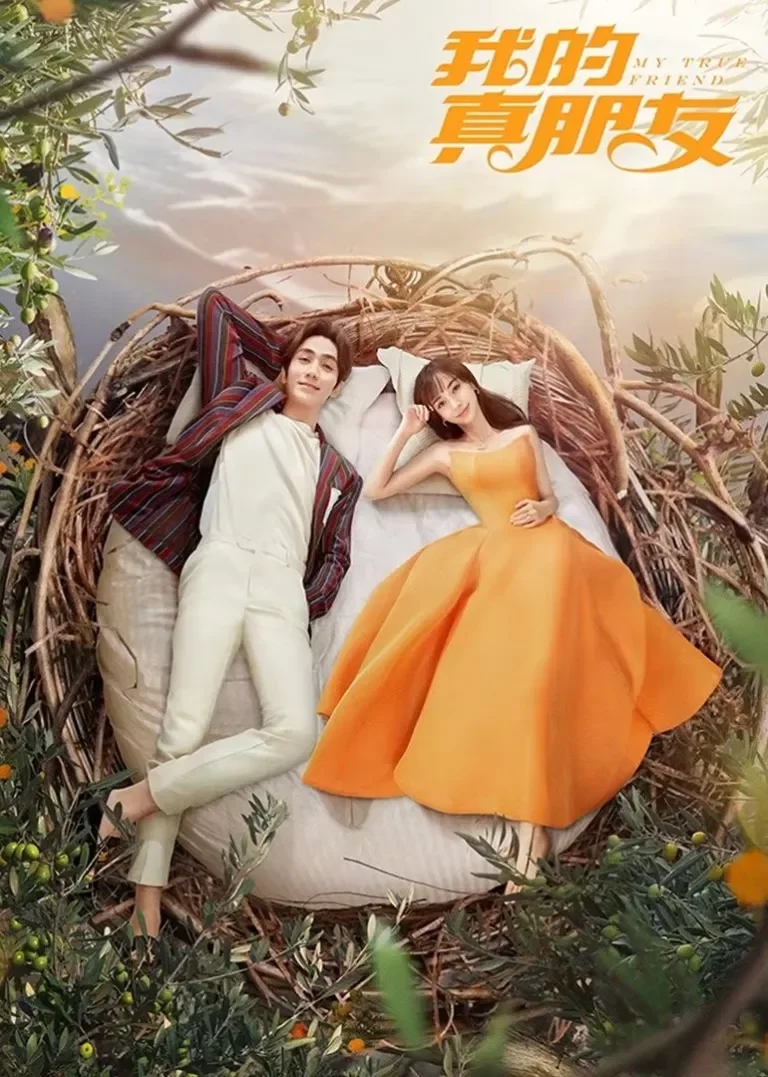我的真朋友电视剧海报