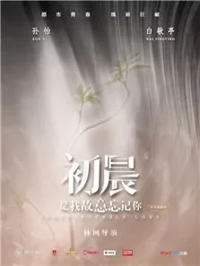 初晨，是我故意忘记你电视剧海报