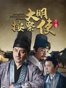 大明按察使电视剧海报