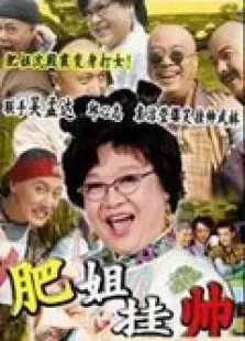 肥姐挂帅电视剧海报