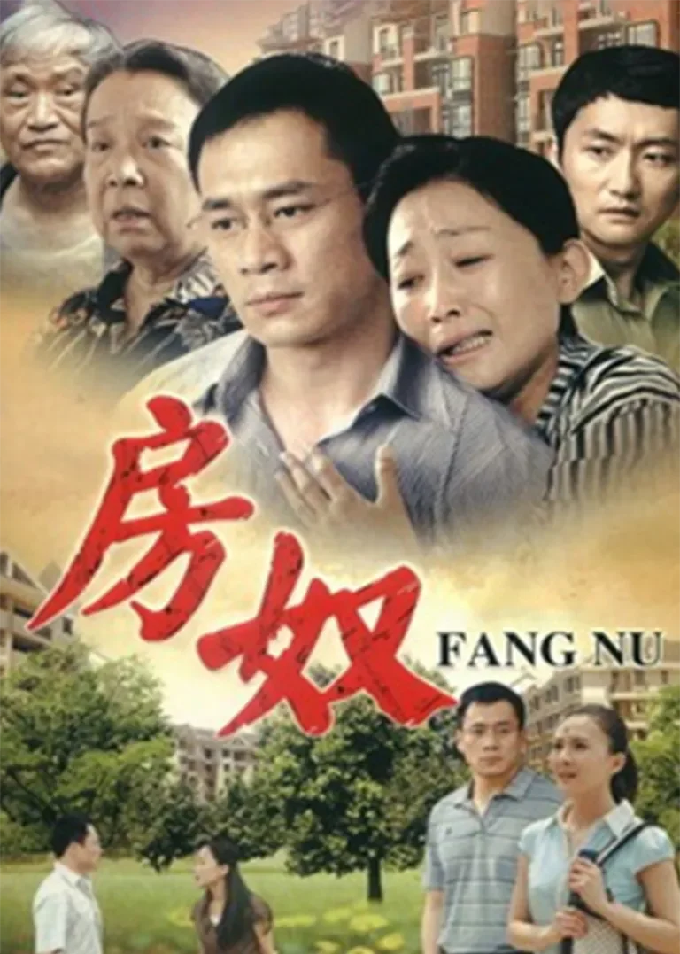 房奴电视剧海报