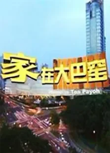 家在大巴窑电视剧海报