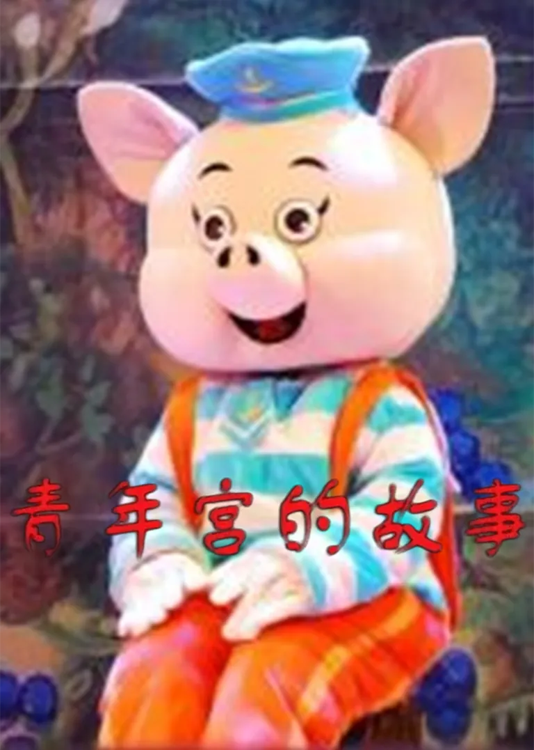 青年宫的故事电视剧海报