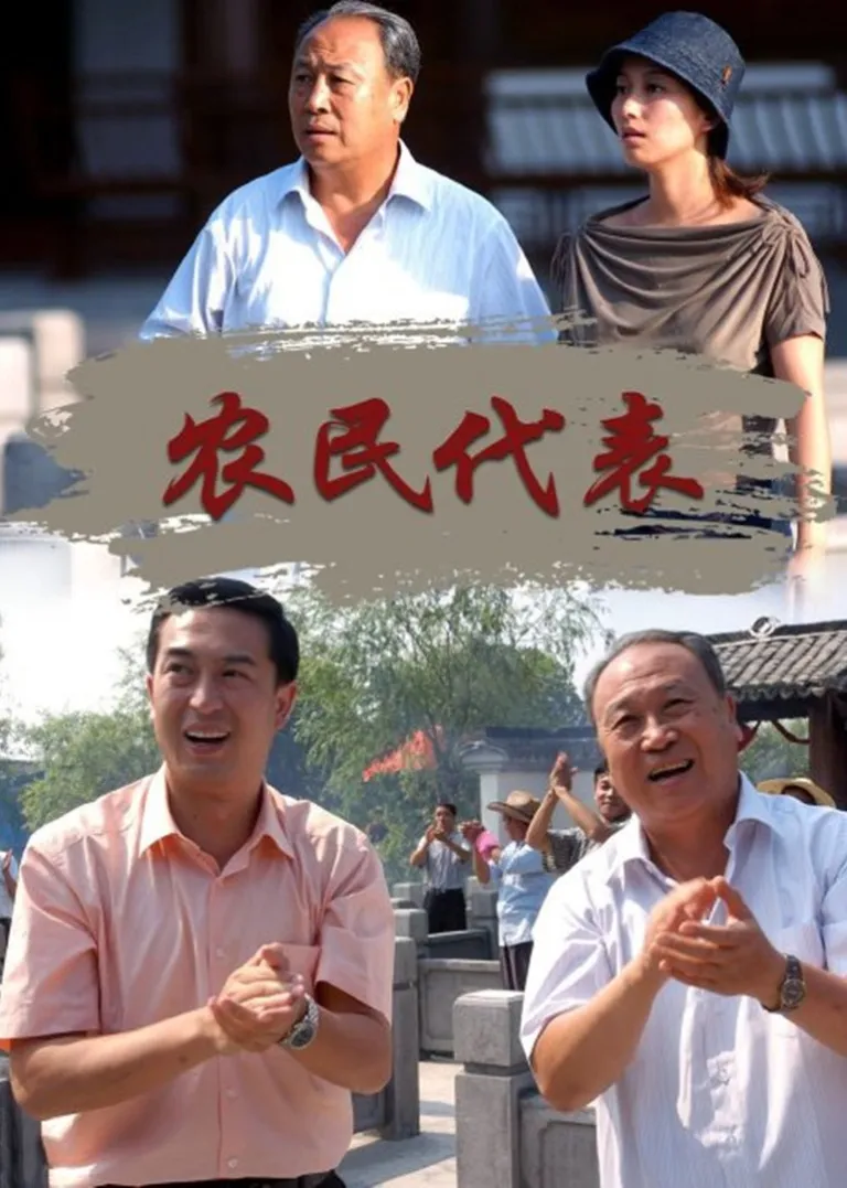 农民代表电视剧海报