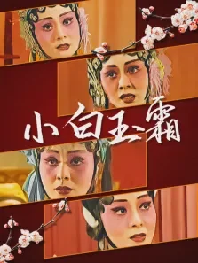 小白玉霜电视剧海报