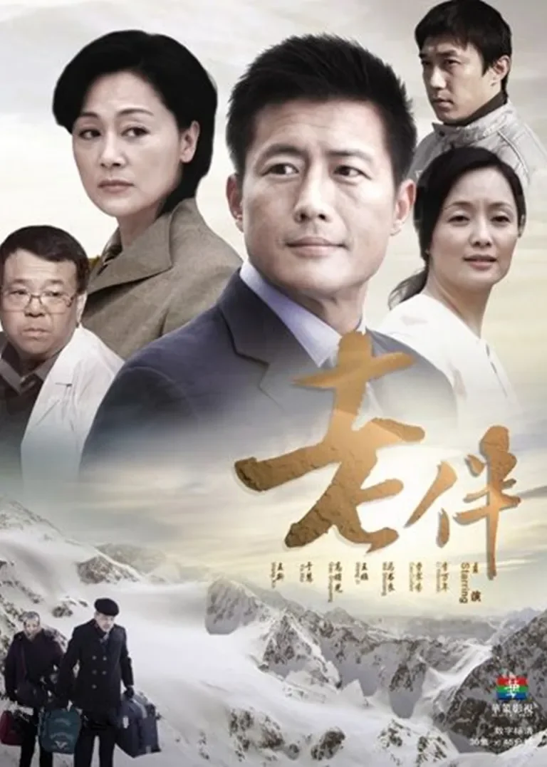 老伴电视剧海报