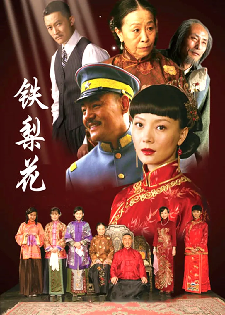 铁梨花电视剧海报