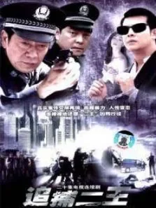 追捕二王电视剧海报
