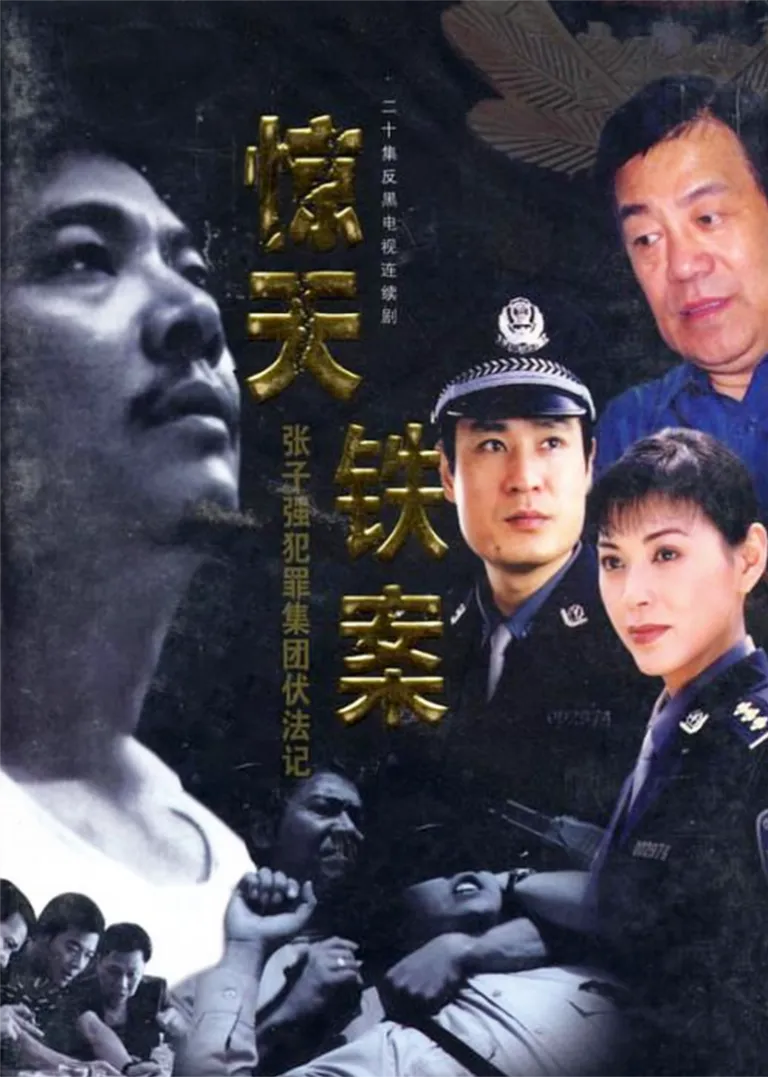 惊天铁案电视剧海报