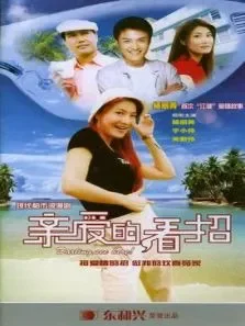 亲爱的，看招电视剧海报