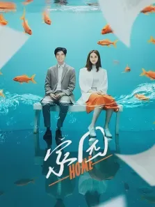 家园电视剧海报