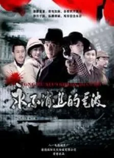 永不消逝的电波电视剧海报